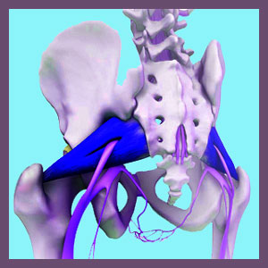 Causes of Piriformis Pain