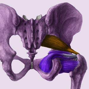 Cycling Piriformis Syndrome