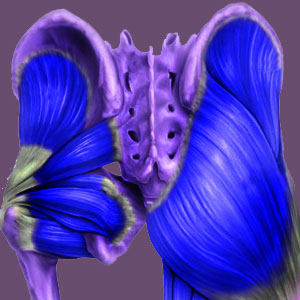 Piriformis pain from sacroiliac