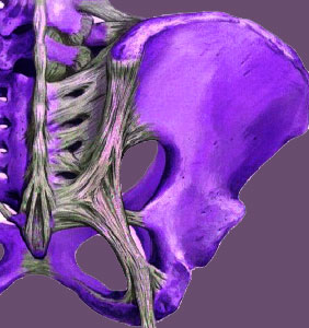 Piriformis Relief